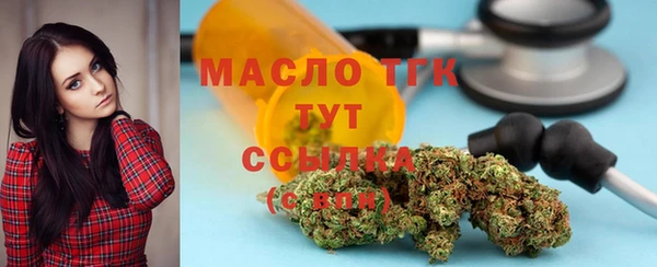 индика Краснотурьинск