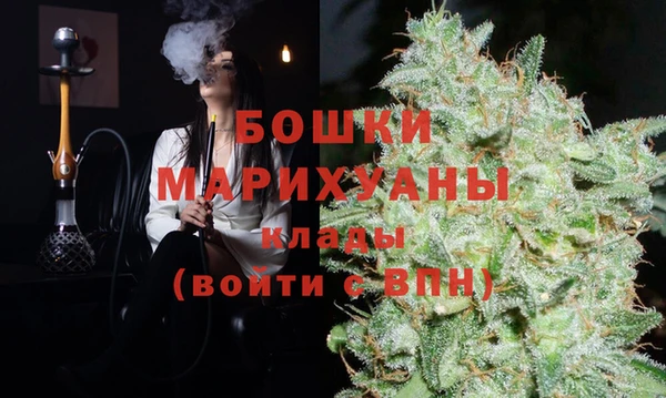индика Краснотурьинск