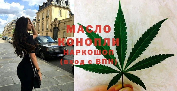 индика Краснотурьинск