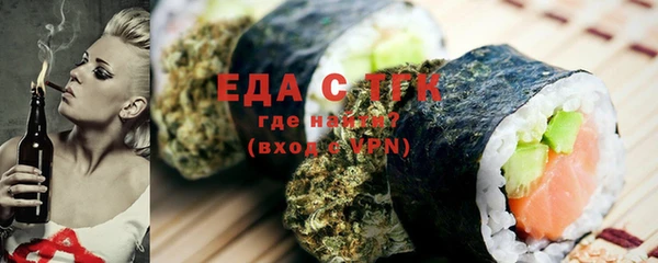 индика Краснотурьинск